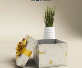 CBD-Gift-Boxes-Wholesale